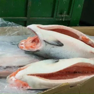 ca-hoi-nhap-khau-2